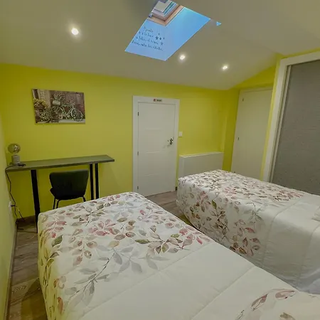 La Camelia Salamanque